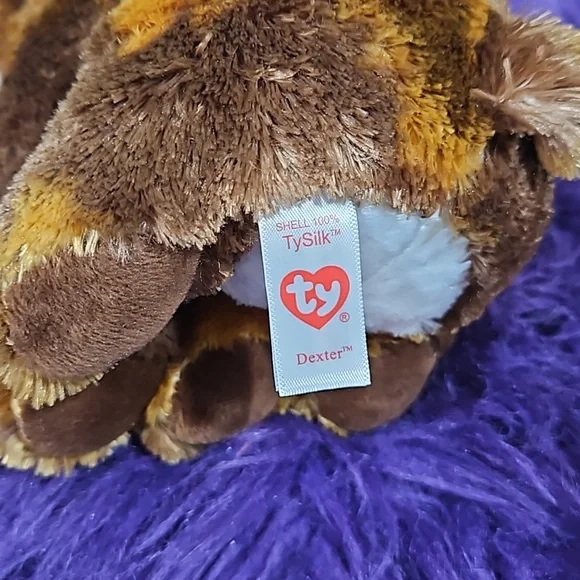 TY, Dexter, The Beanie Boo Collection - Picture 5 of 7